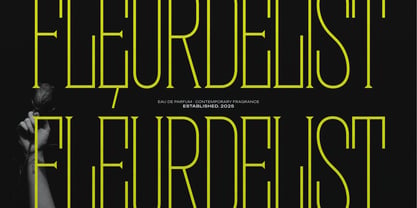 Krogad Font Poster 3