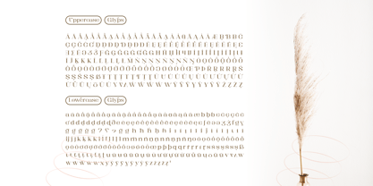 Kartikana Serif Font Poster 11