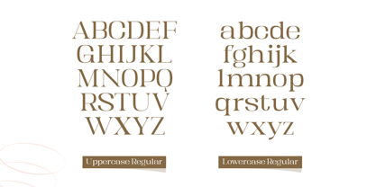 Kartikana Serif Font Poster 9