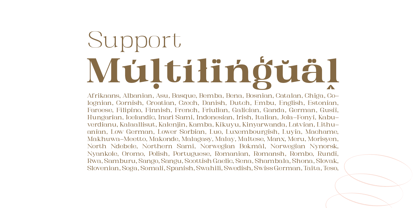 Kartikana Serif Font Poster 8