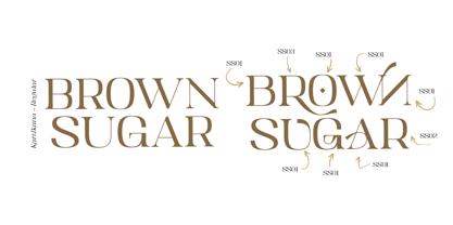 Kartikana Serif Font Poster 4