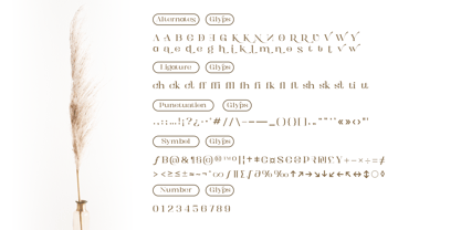 Kartikana Serif Font Poster 10