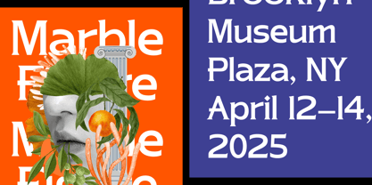 Manork Calme Font Poster 9