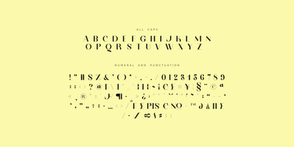 Vetro Font Poster 14