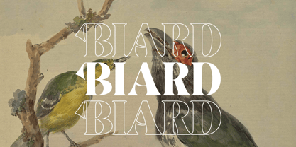 Karakin Font Poster 7