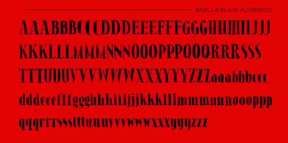 Haunted Spirit Font Poster 7