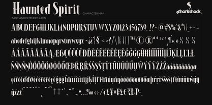 Haunted Spirit Font Poster 8
