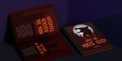 Nortline Scratch Font Poster 11