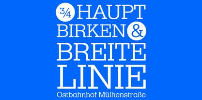 R41 Dattilo Font Poster 3