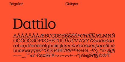 R41 Dattilo Font Poster 2