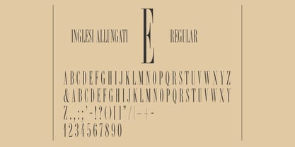 R41 Inglesi Allungati Font Poster 2