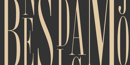 R41 Inglesi Allungati Font Poster 6