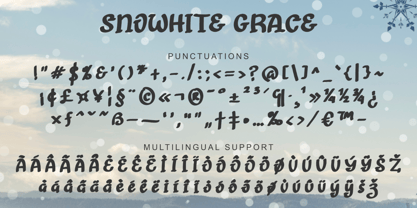Snowhite Grace Font Poster 6