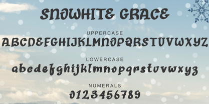 Snowhite Grace Font Poster 5