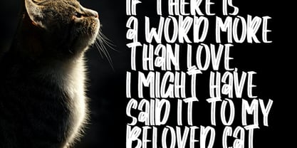 Barlaze Font Poster 3