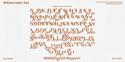 Paradise Morelia Font Poster 11