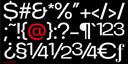 Chairo Neue Font Poster 6