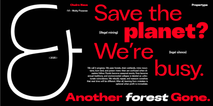 Chairo Neue Font Poster 7