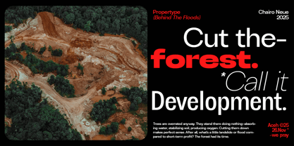 Chairo Neue Font Poster 4