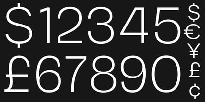 Chairo Neue Font Poster 3