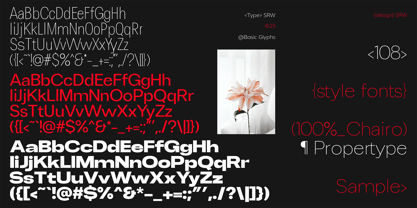Chairo Neue Font Poster 14
