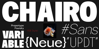 Chairo Neue Font Poster 1