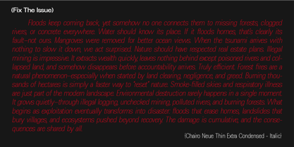 Chairo Neue Font Poster 11