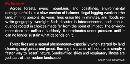 Chairo Neue Font Poster 9