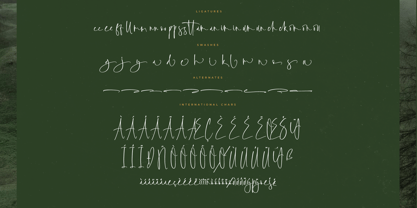 Foresta Heights Font Poster 8