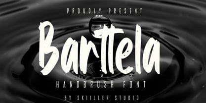 Barttela Font Poster 1