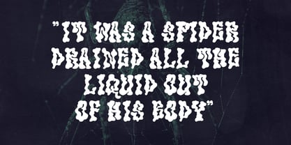 MC Luicoob Font Poster 6