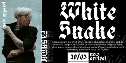 Silhouetta Font Poster 8