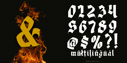 Silhouetta Font Poster 14