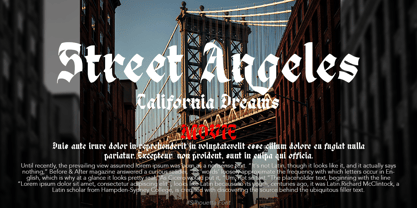 Silhouetta Font Poster 12