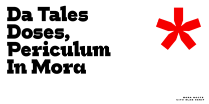 HN Cito Font Poster 12