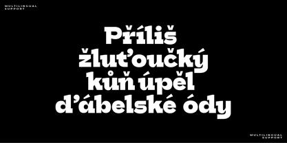 HN Cito Font Poster 6