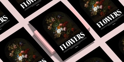 Ramita Font Poster 8