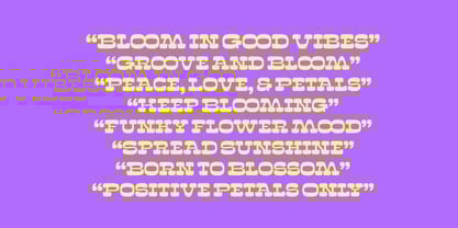 Sunny Groovy Font Poster 3