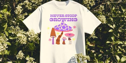 Sunny Groovy Font Poster 11