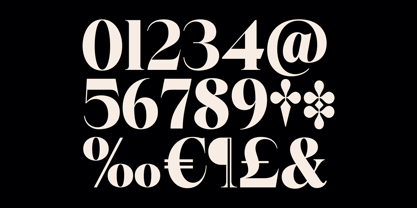 Herald Dongue Font Poster 12