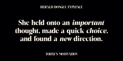 Herald Dongue Font Poster 2