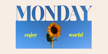 Herald Dongue Font Poster 7
