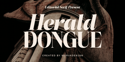 Herald Dongue Font Poster 1