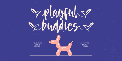 Butany Smooth Font Poster 4