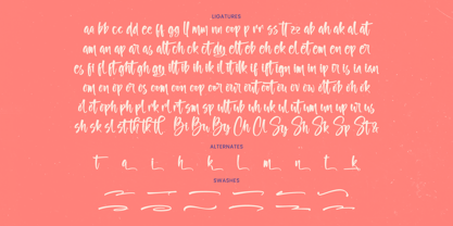 Butany Smooth Font Poster 15