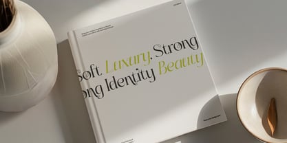 Sainer Bagora Font Poster 5