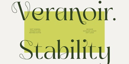 Sainer Bagora Font Poster 9