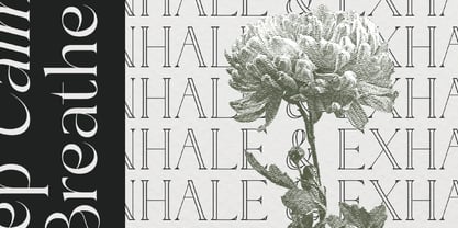 Sainer Bagora Font Poster 6