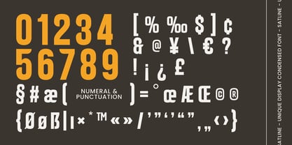 Satline Font Poster 11