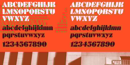 Divulga Font Poster 5